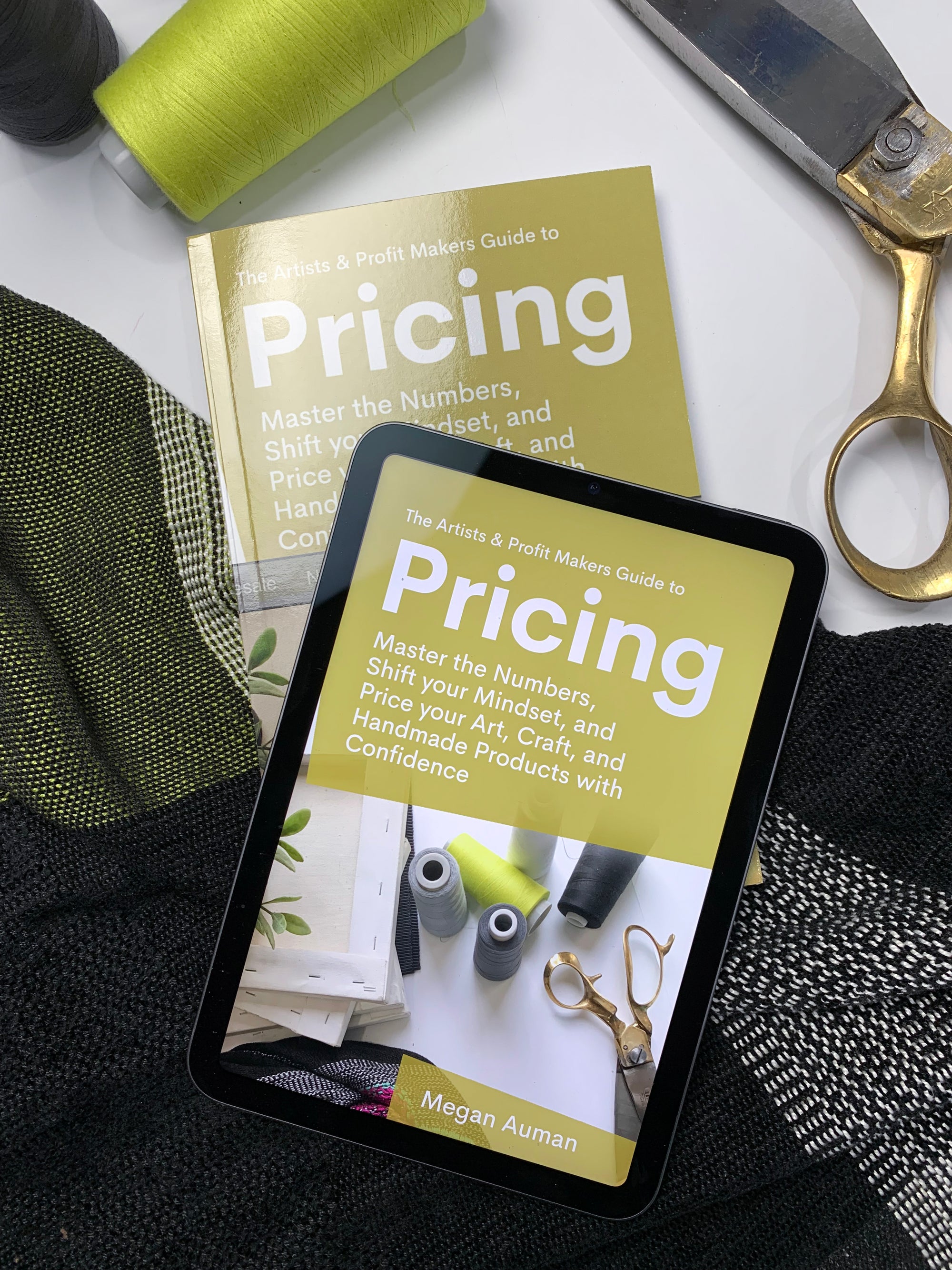 The Artists & Profit Makers Guide to Pricing Bundle: Signed Paperback + Digital Editions PRE-ORDER