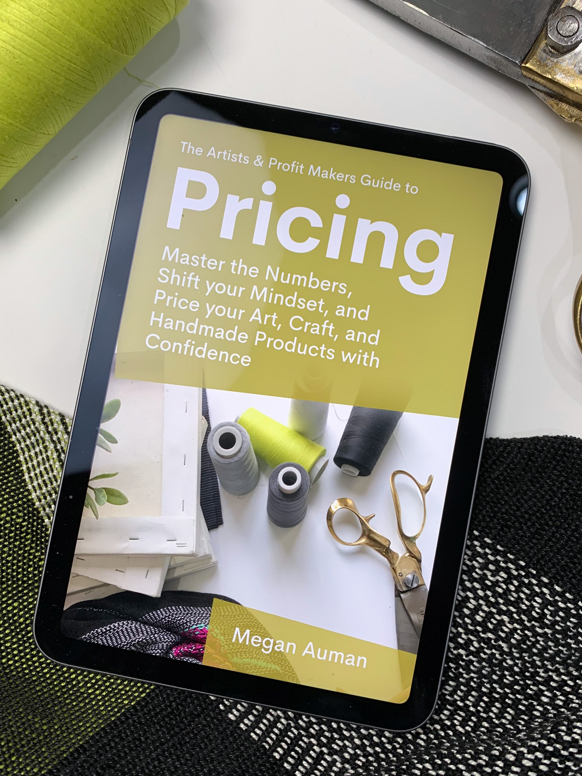 The Artists & Profit Makers Guide to Pricing Digital Edition PRE-ORDER