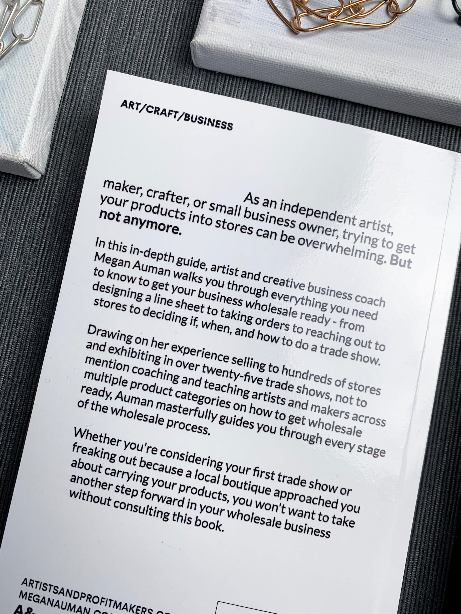 The Artists & Profit Makers Guide to Selling to Stores - Discounted Imperfect Copy